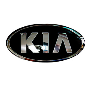 EMBLEMA INYECTADO PICANTO PALABRA 19EB12K-1